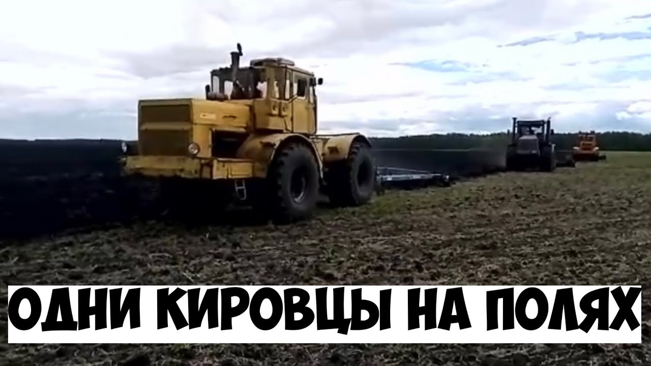 Кировцы на пахоте. К-739МСт-1, К-701,К-744Р2,К-701 на одном поле пашут пары