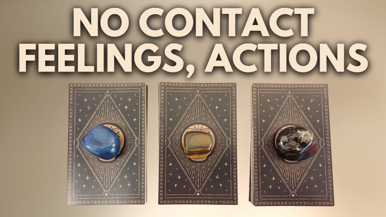 NO CONTACT! FEELINGS, ACTIONS, OUTCOME.  PICK A CARD TIMELESS TAROT READING