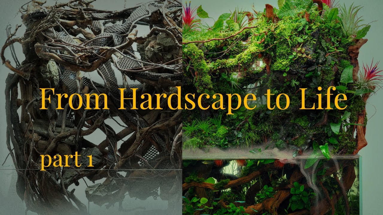 Cloud Forest Paludarium Setup (Part 1) – Hardscape, Waterfall & Misting