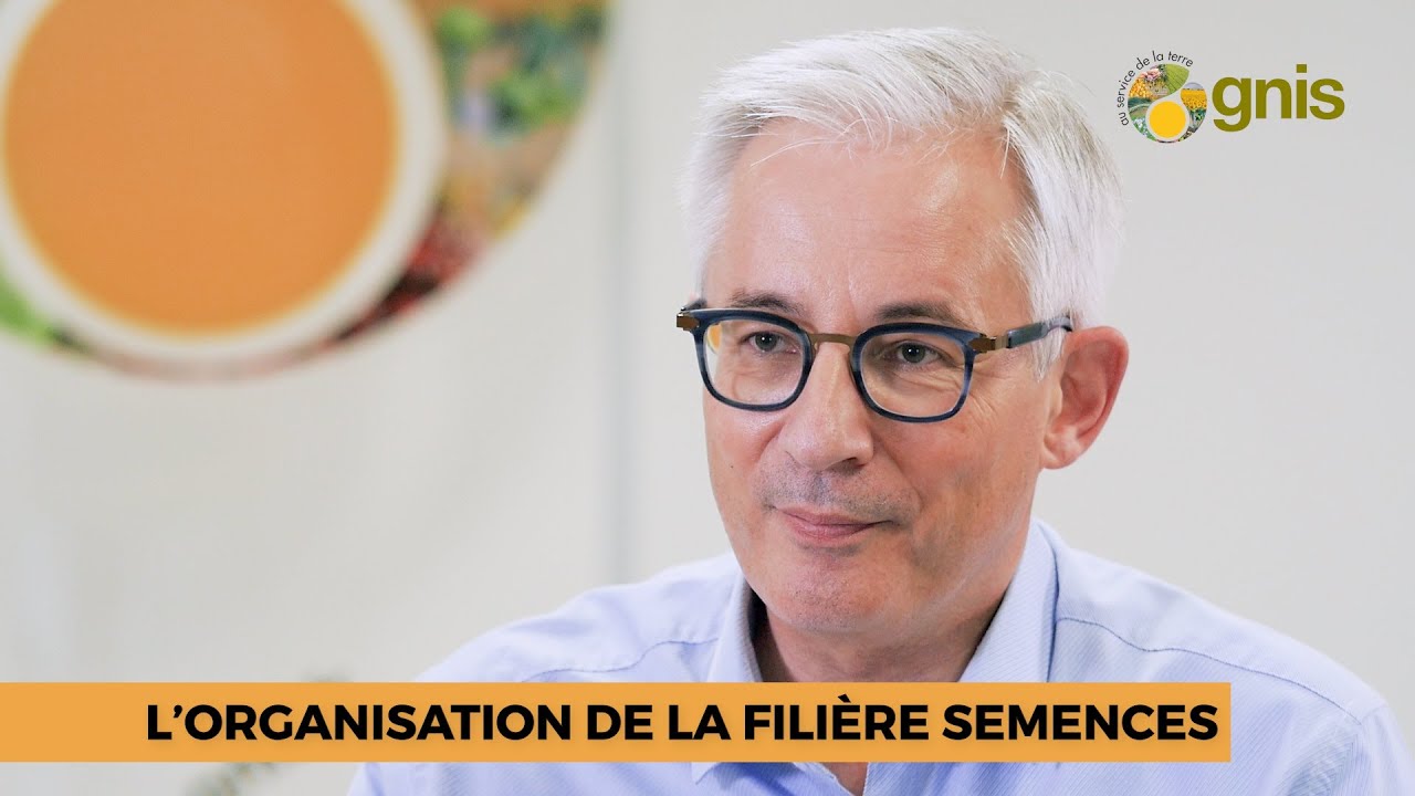 L'organisation de la fili&egrave;re semences