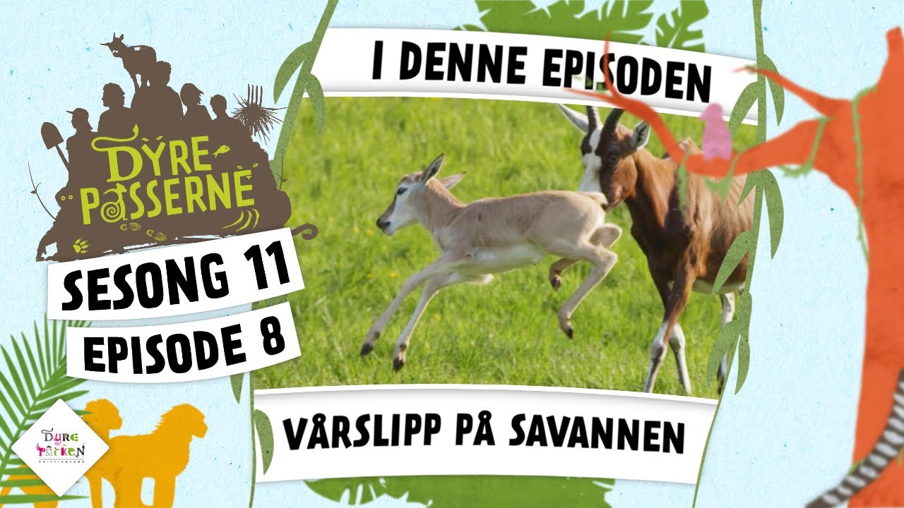 Vårslipp! | Dyrepasserne S11 E08