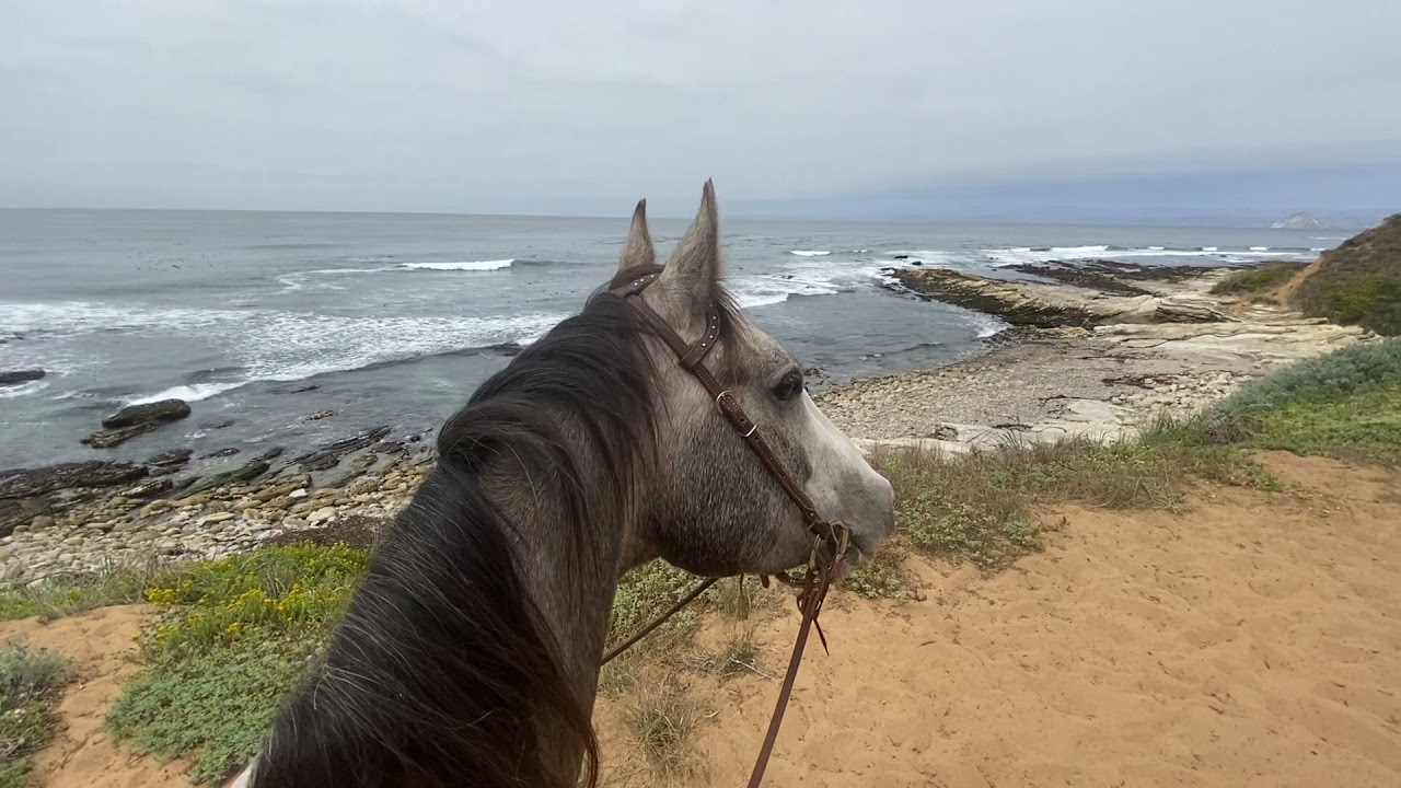 Exploring Montana De Oro On Horseback