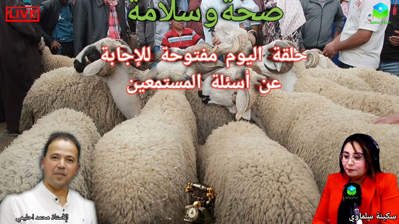 🔴 حلقة اليوم مفتوحة للإجابة عن أسئلة المستمعين ☎️ مع الأستاذ محمد احليمي اختصاصي التغذية الصحية