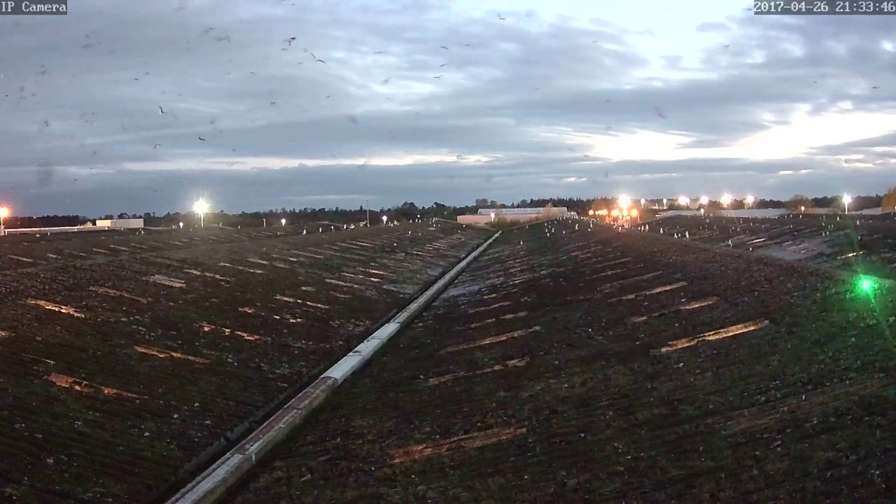 Agrilaser Autonomic | Laser Deterrent at Dusk | NBC Environment