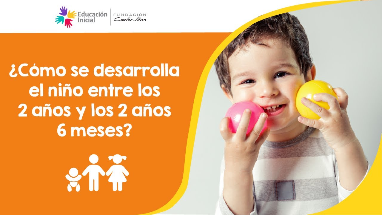 ¿Cómo se desarrolla el niño entre los 2 años y los 2 años 6 meses?
