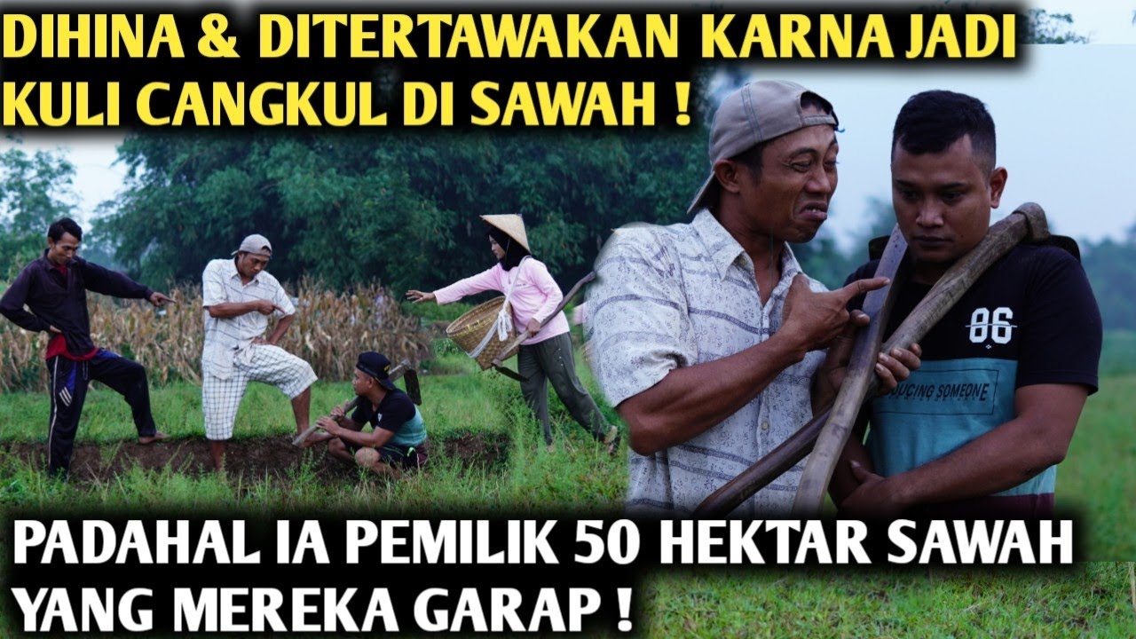 50 HEKTAR SAWAH HILANG ‼️ KARNA MENGHINA & MEMBULLY JURAGAN SAWAH DIKIRA KULI CANGKUL
