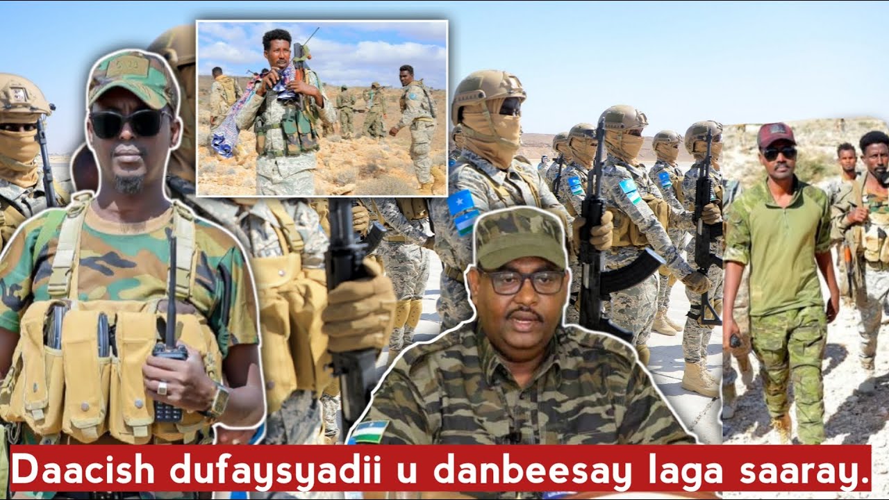 Puntland oo Gododkii u danbeeyay ka saartay Firxadkii Dcsh + Tigreega oo hubka laga dhigayo