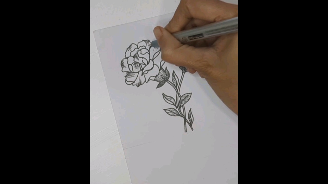 How to draw flowers. Carnation flower Drawing. Easy steps to follow. #shorts