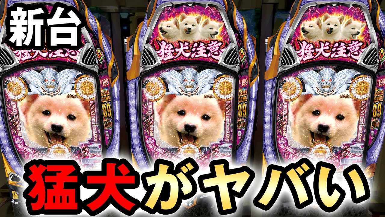 【新台】ハーデス獄炎を終日打ったら大博打でヤバい？ [アナザーゴッドハーデス 獄炎] 桜#729