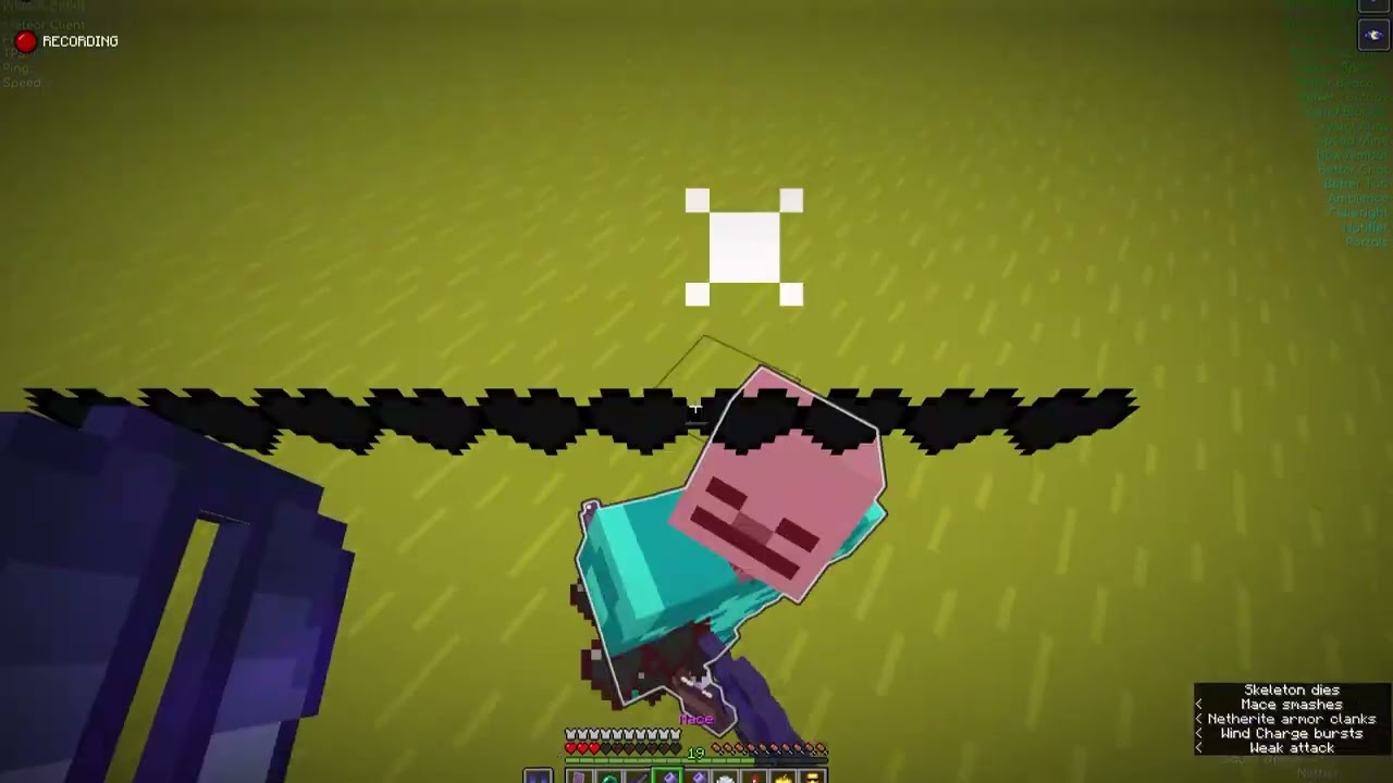 [Old Upload] Elytra Macing Clips