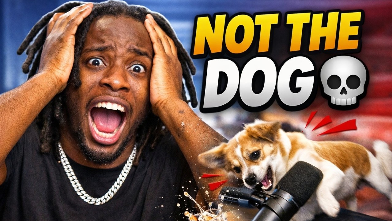 Streamers With The Best… And Most Chaotic Pets