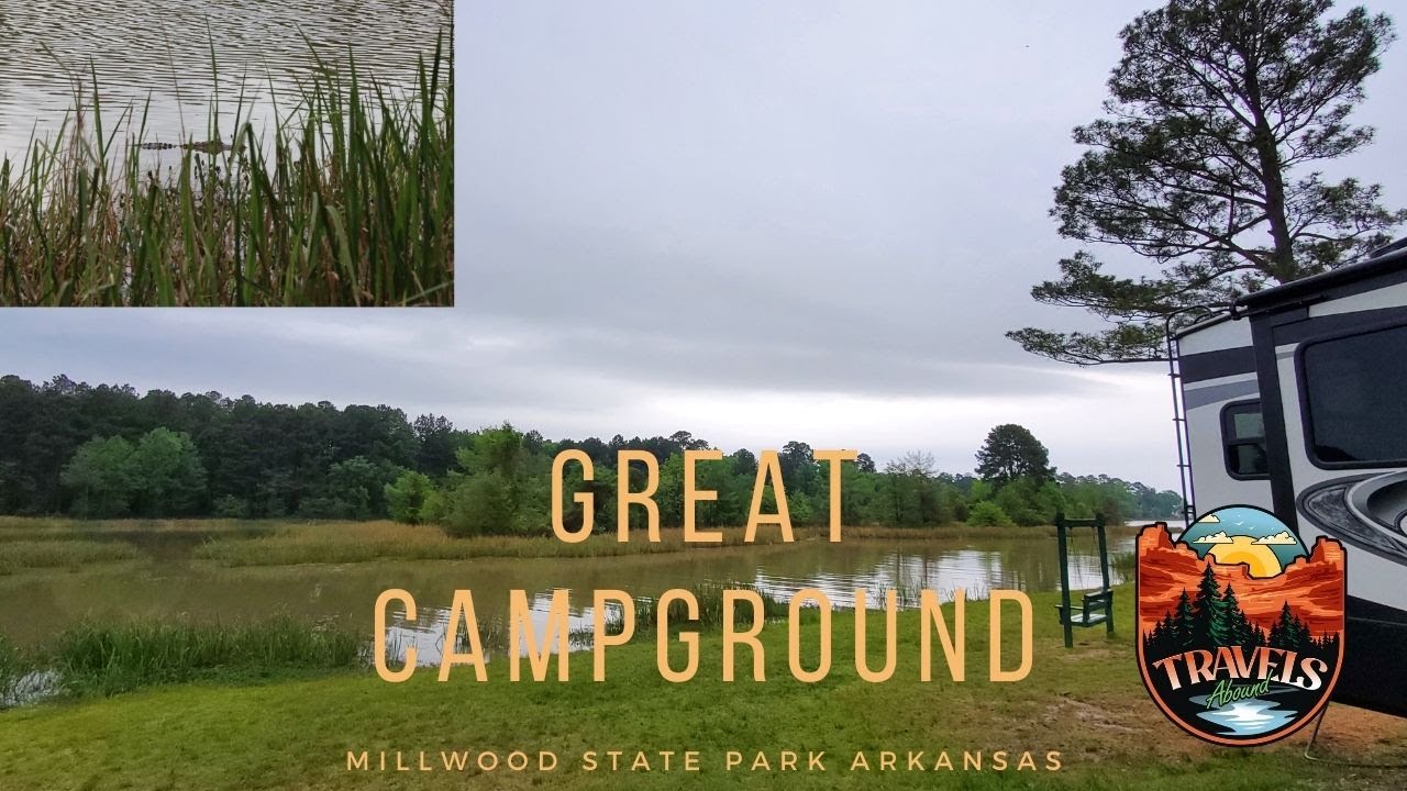 Millwood State Park Arkansas | Alligators in the Water