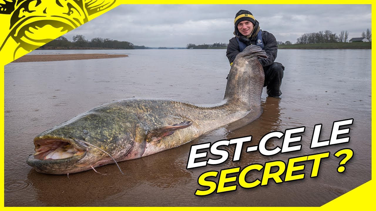 Pêche de SILURES GÉANTS en HIVER🥶 | pêche au flotteur par temps sombre😎🎣 | pêche du silure en bateau