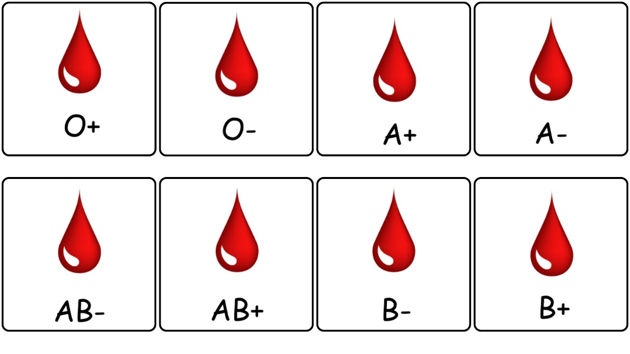 The Hidden Meaning of Every Blood Type