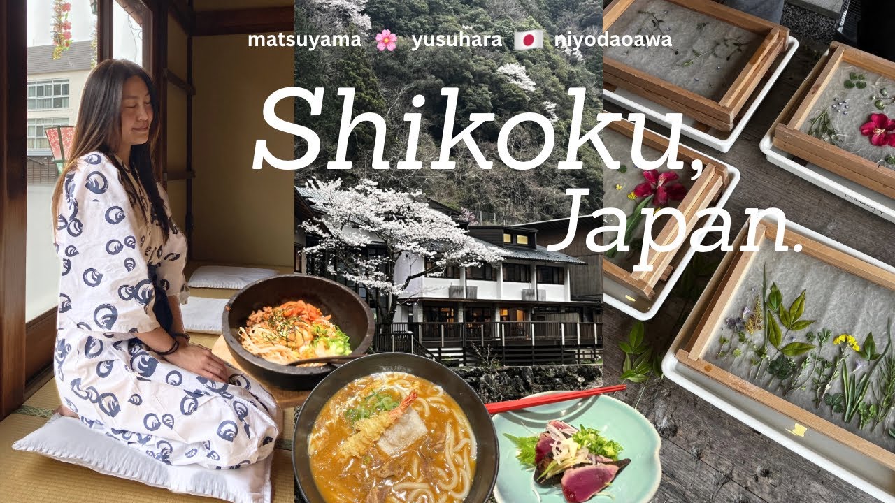 Road trip in SHIKOKU, JAPAN *:･🏮| onsen, canyoning, castle, washi, first homestay, cherry blossom