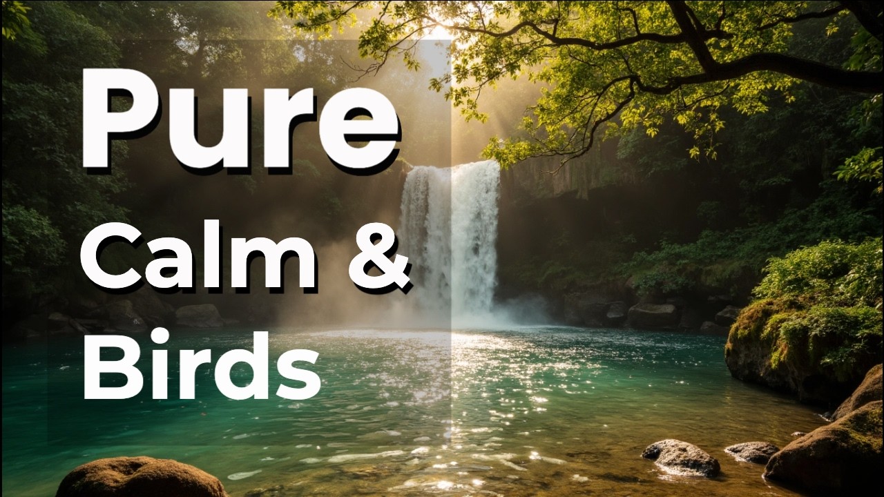 3 Hours of Pure Calm: Music and Birds in Harmony
