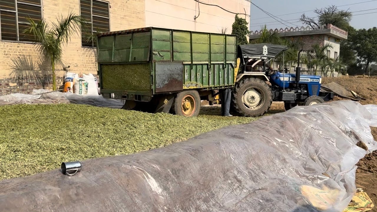 14 November 2025 again making silage