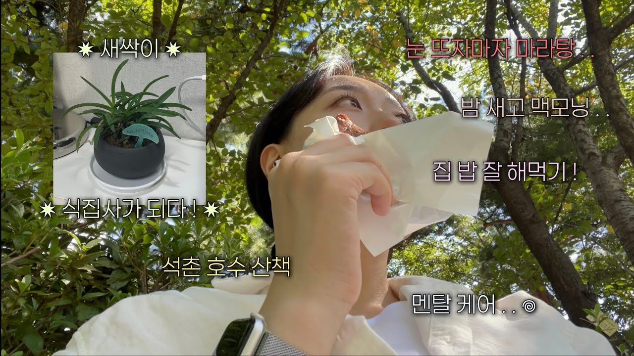 Vlog. ✷ 오랜만에 들고 온 일상 브이로그 ✷ 눈 뜨자마자 마라탕 • 밤 새고 먹는 맥모닝 • 식집사가 되다 ! • 자취 집밥 • 산책 그리고 멘탈 케어법 . . ?
