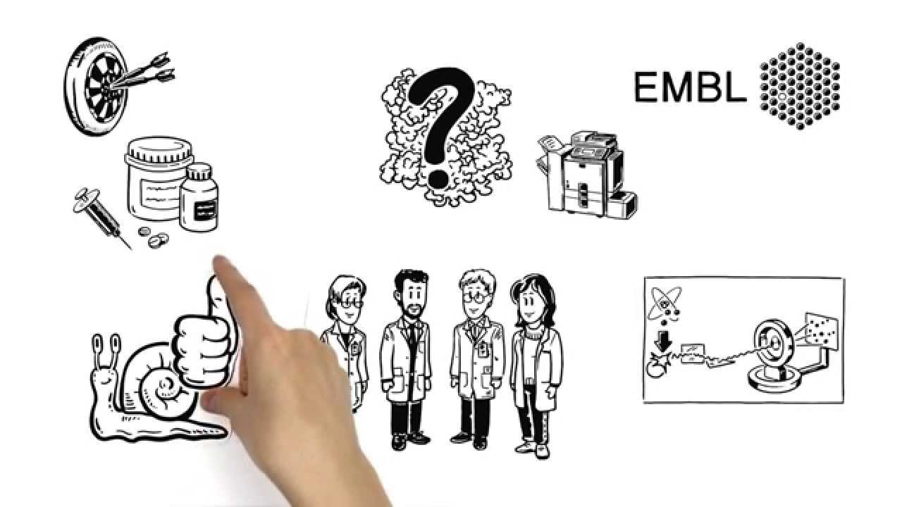 How can structural biology help to fight flu?