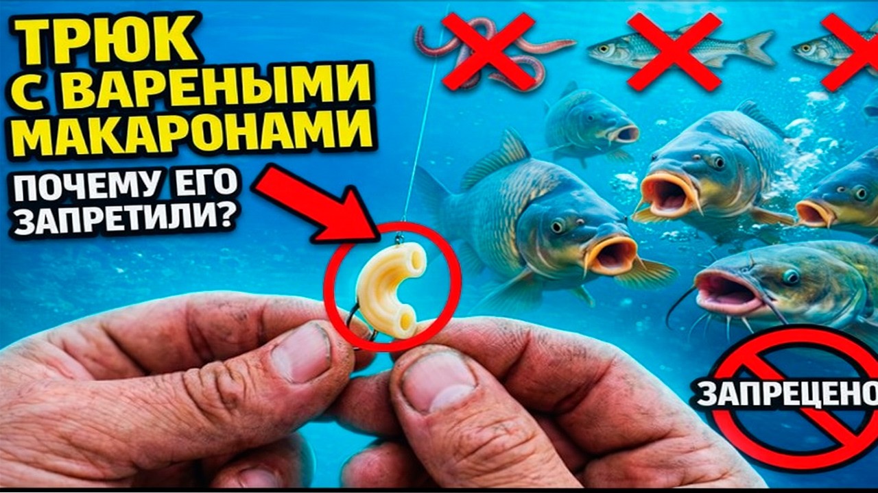 Насади варёные макароны на крючок &mdash; лучше, чем живая наживка (почему это было запрещено?)