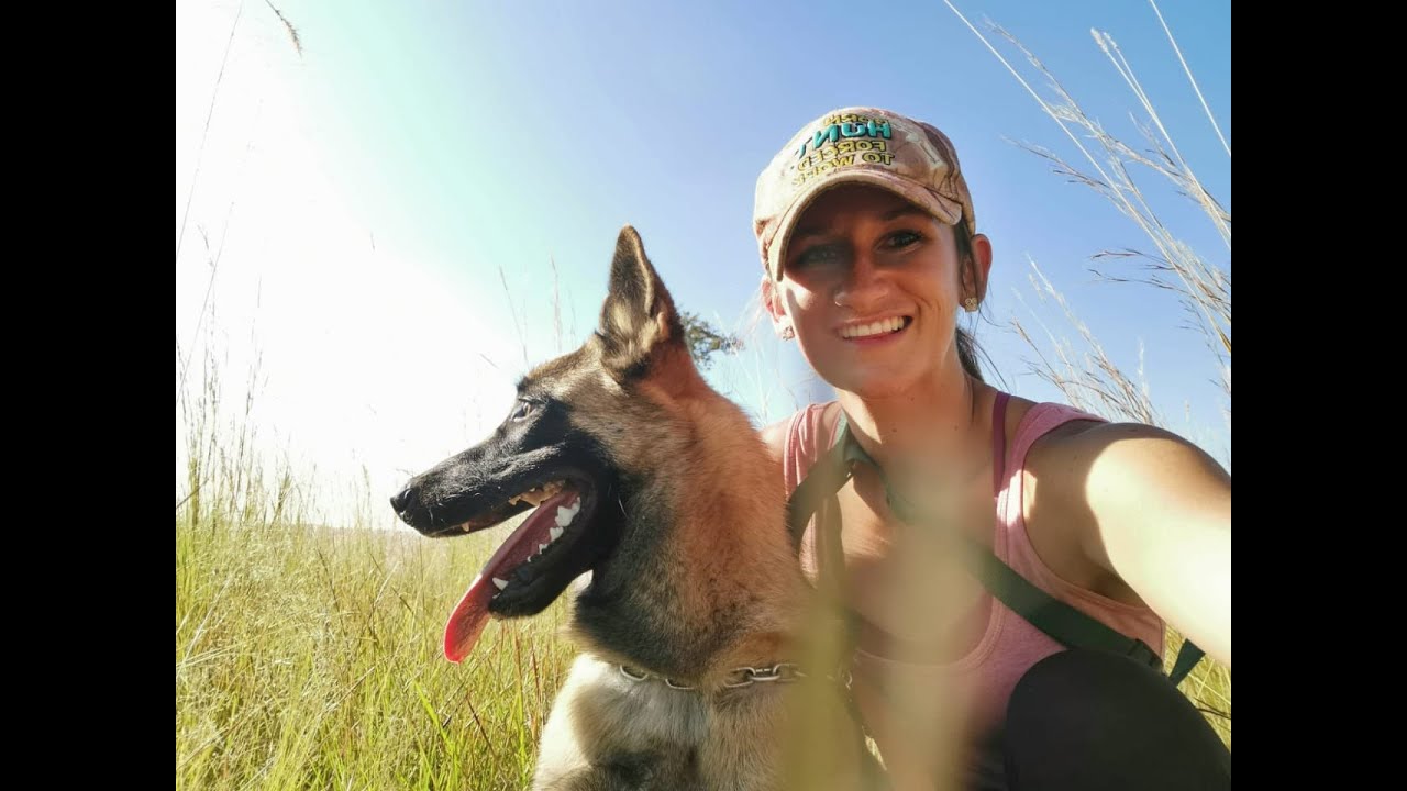 Client Dog and Handler Tracker Training