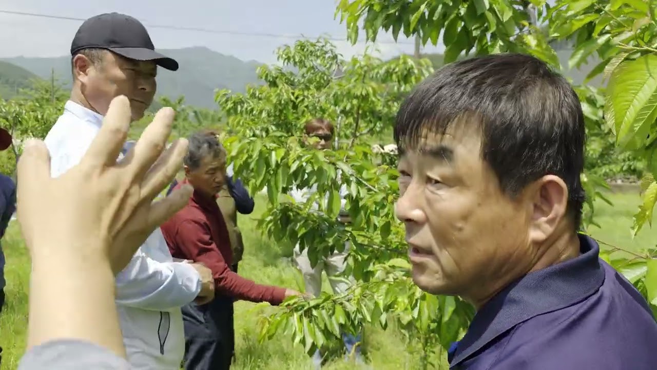 체리정기모임 25년5월(광양편)