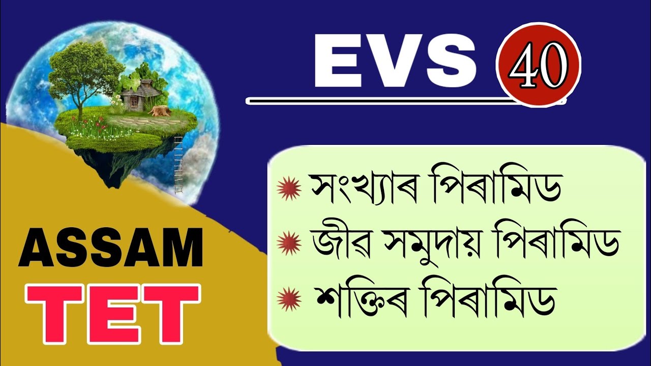 Assam TET 2021 || Ecological Pyramid, Energy Pyramid etc || Environmental Studies || Video 40
