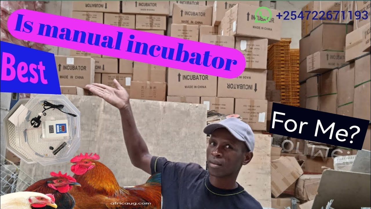 60 eggs manual incubator. Unboxing