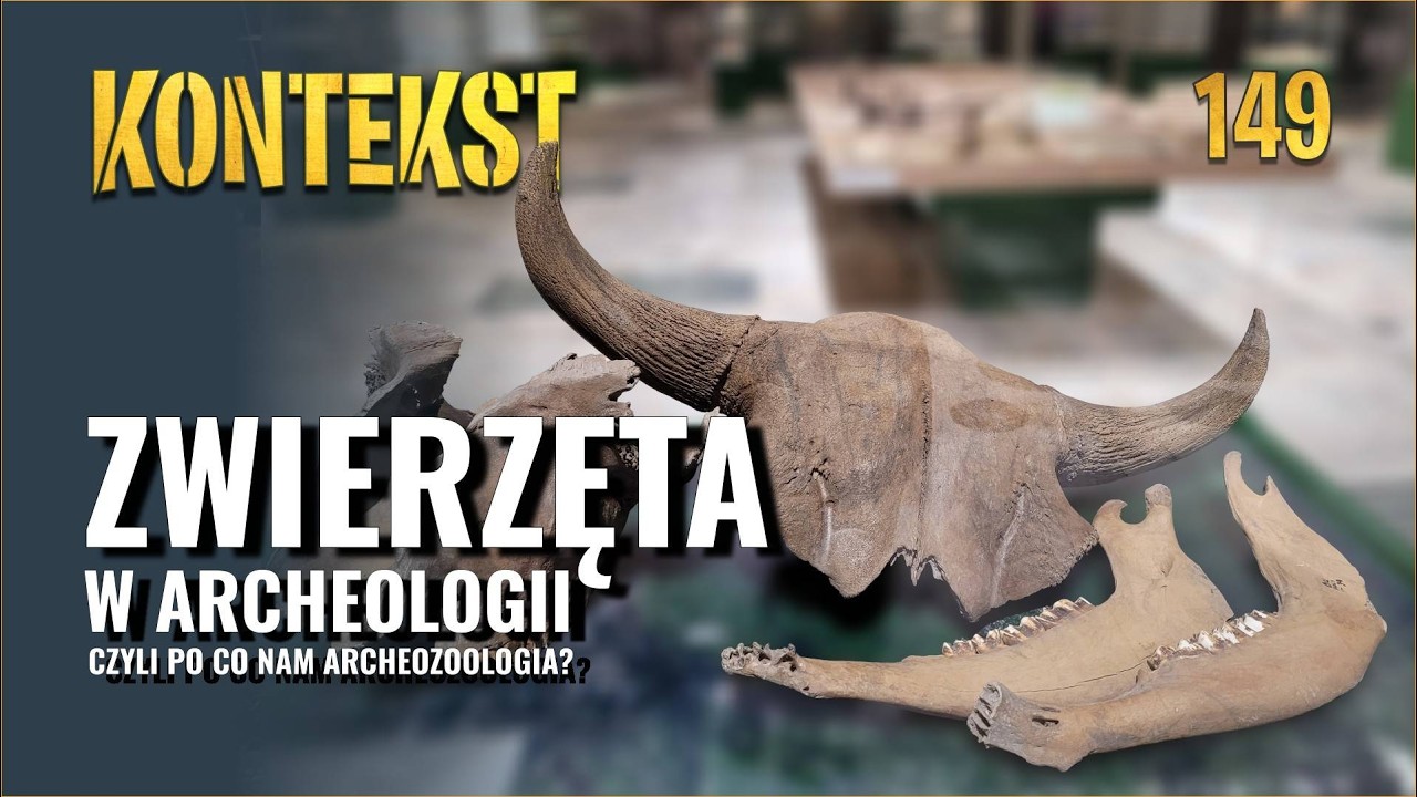 Zwierzęta w archeologii. Archeozoologia - Joanna Piątkowska-Małecka, Olha Synkovska | KONTEKST 149