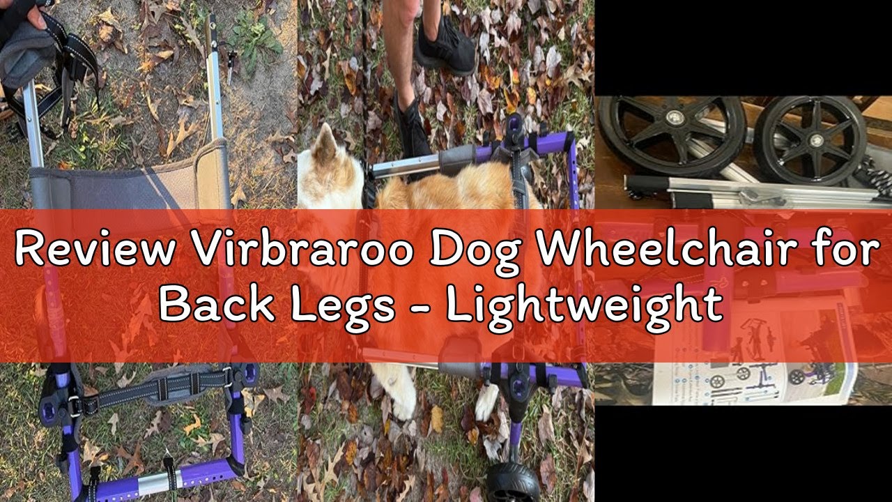 Review Virbraroo Dog Wheelchair for Back Legs - Lightweight Aluminum Alloy Dog Wheelchair, Upgraded