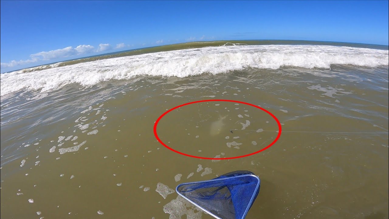 ACHAMOS OS BRUTOS na PESCARIA DE PRAIA com ISCAS NATURAIS!