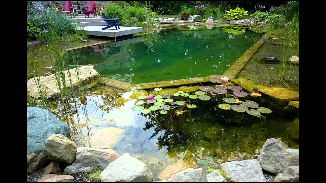 Natural Swimming Pools created by John's Pools and Ponds - No Chlorine