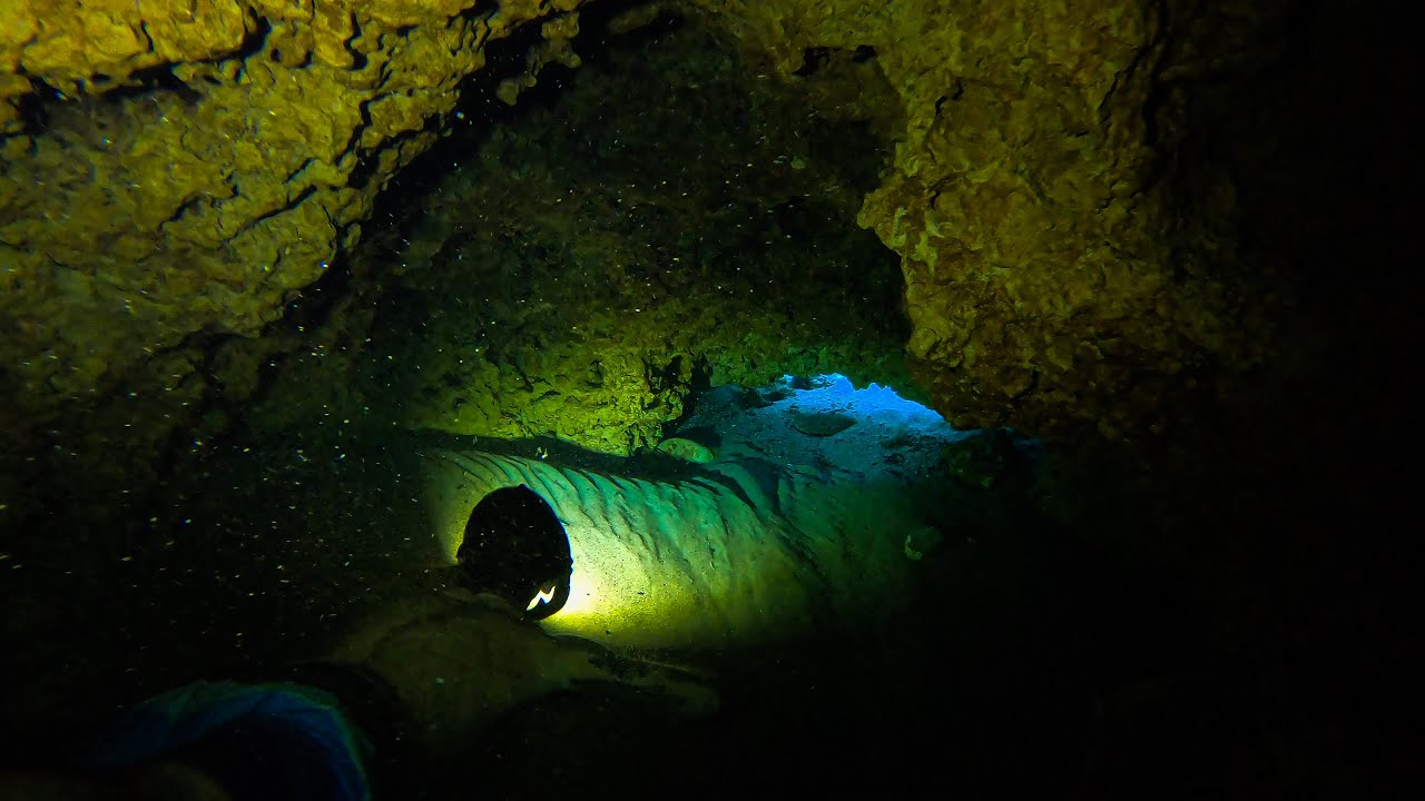DEVILS HOLE and PONCE DE LEON springs FREE diving! Two bonus springs as well at the end!