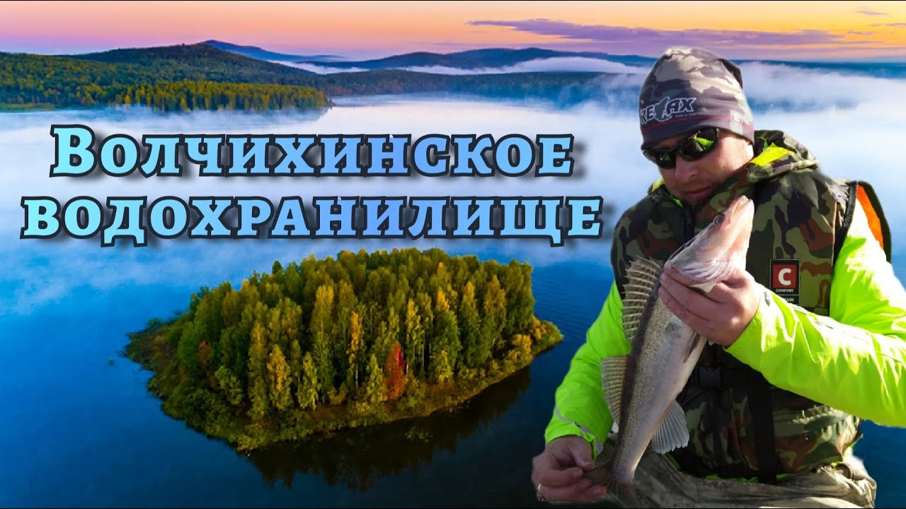 Судак Волчихинского водохранилища.