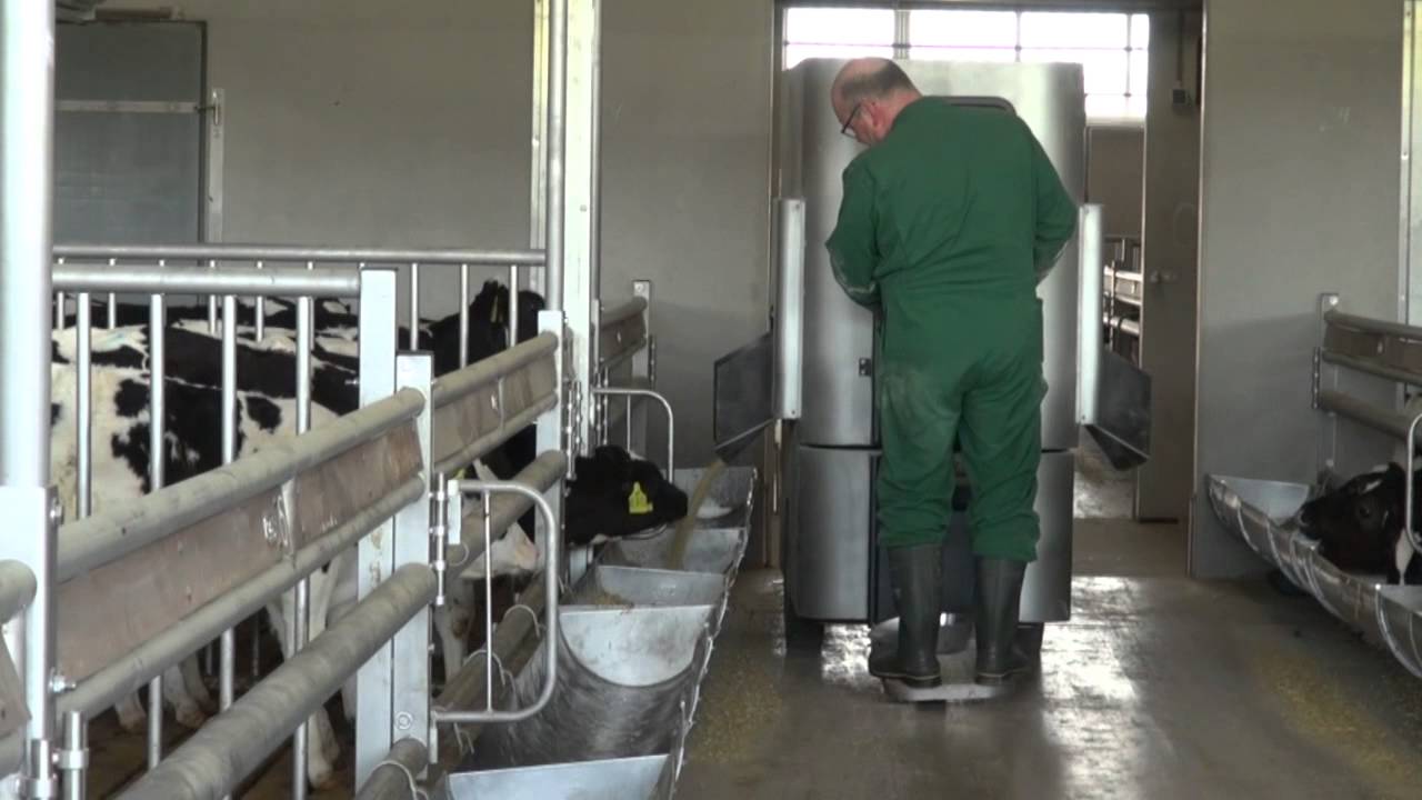 Nieuwe faciliteiten voor onderzoek met kalveren bij Denkavit