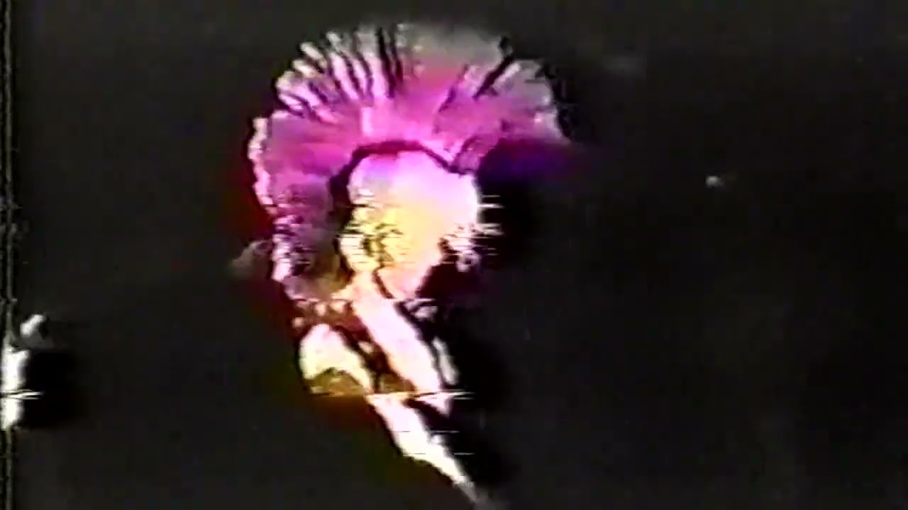にら子供  新宿アンチノック 1988.12.22