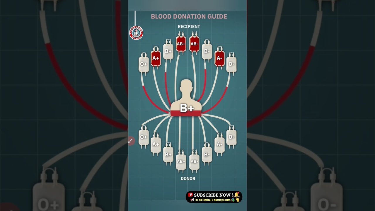 🩸Blood Donation Guide: Explained Simply  #bscnursing #blood #blooddonation
