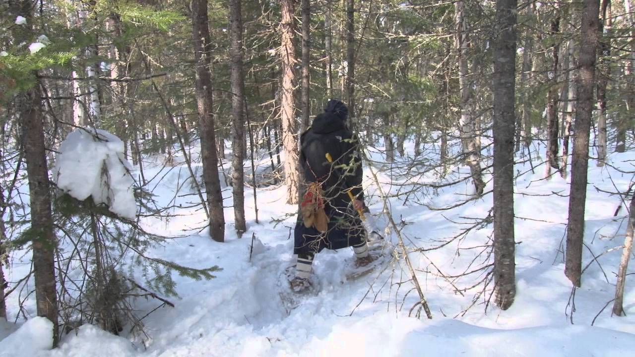 Remède atikamekw