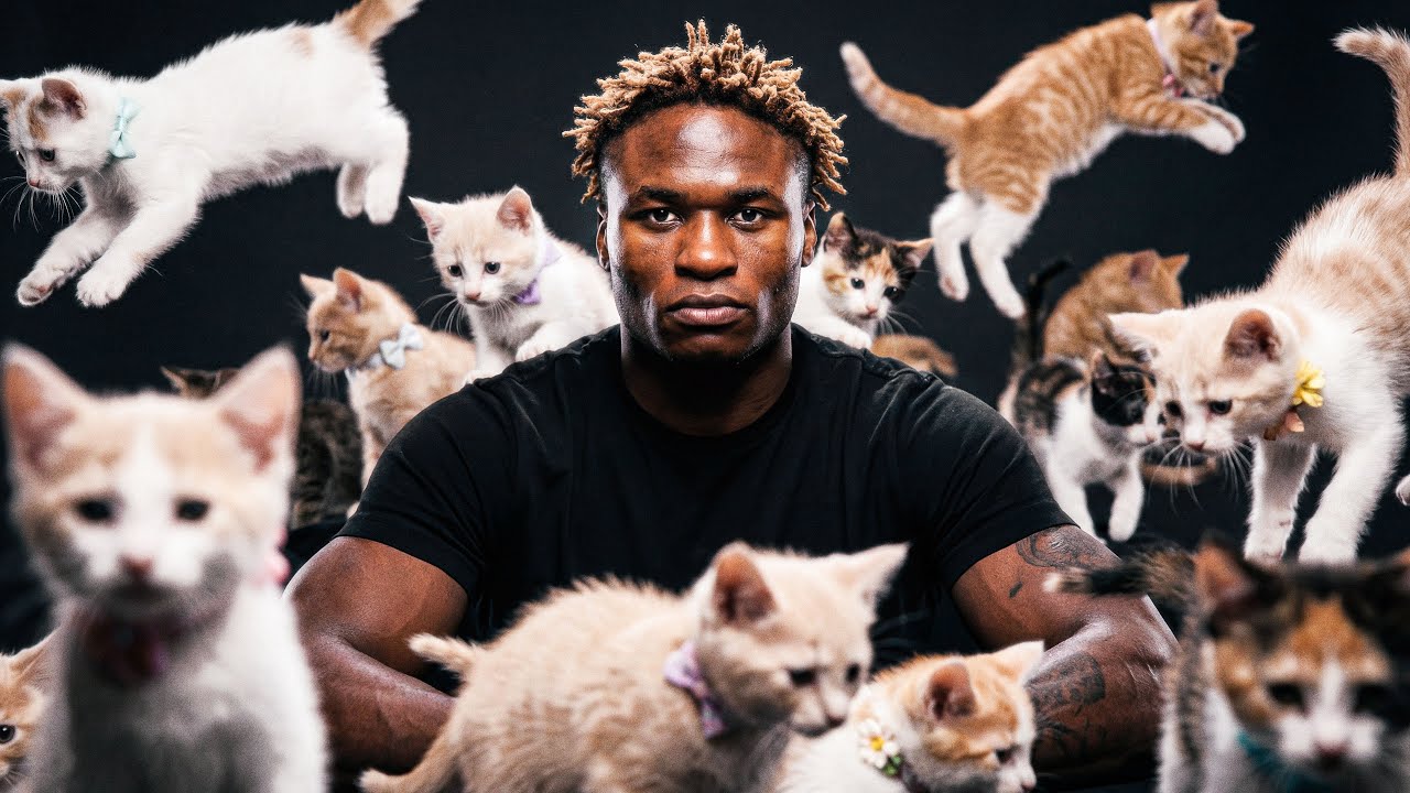 Мы поместили самого опасного перспективного бойца UFC в комнату, полную кошек.