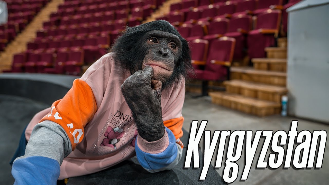 Мы в Кыргызстане! Первые Впечатления от Цирка в Бишкеке