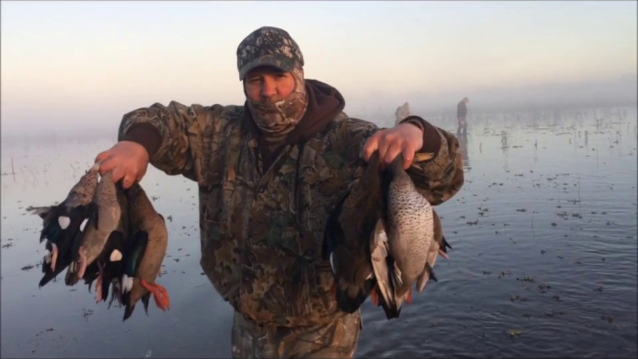 Duck hunting argentina, close to buenos aires