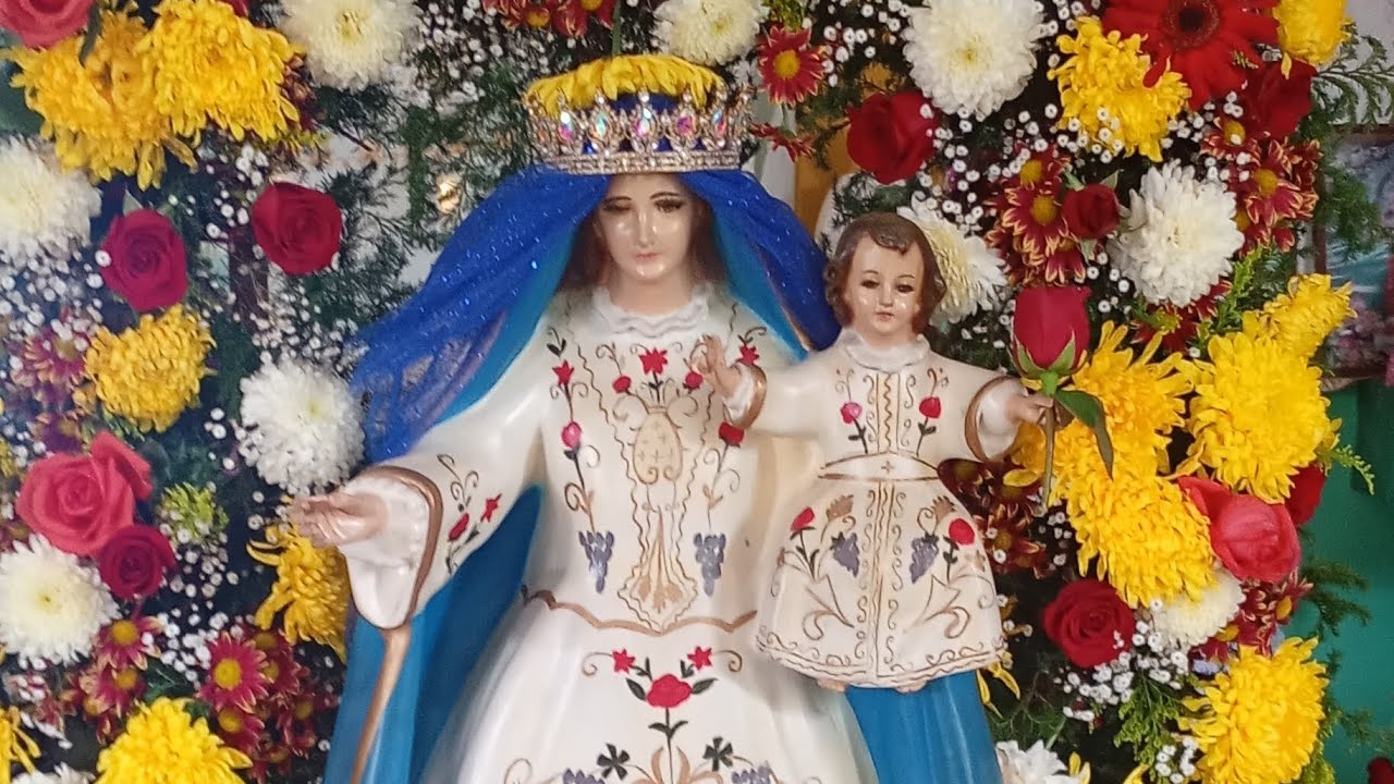 Coyolar Tamiahua Fiesta Patronal Virgen De La Candelaria 🎊🎉