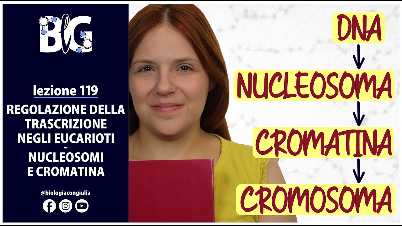 REGOLAZIONE della TRASCRIZIONE negli EUCAROTI - NUCLEOSOMI e CROMATINA