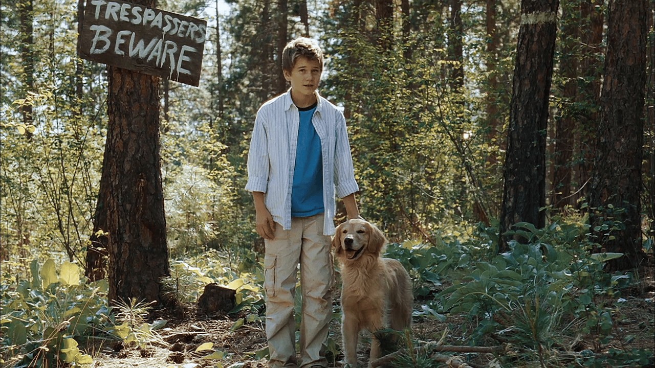 Comedia de aventuras divertida 🤪 🐶 Niño y su perro salvan las joyas 🎬 Pelicula completa en español