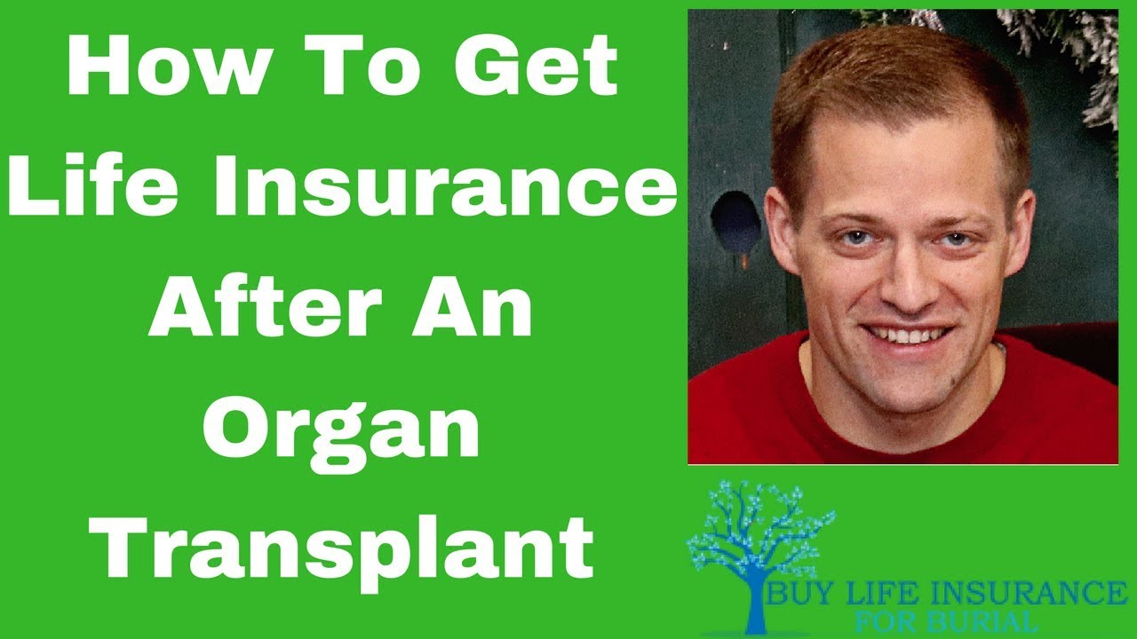 The Ultimate Guide To Life Insurance For Organ Transplant Patients