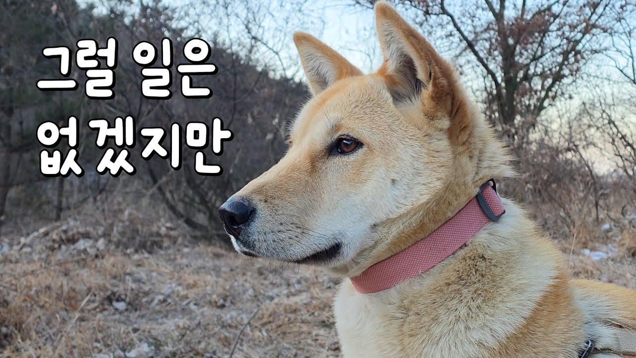 이것도 아무나 하는게 아닙니다