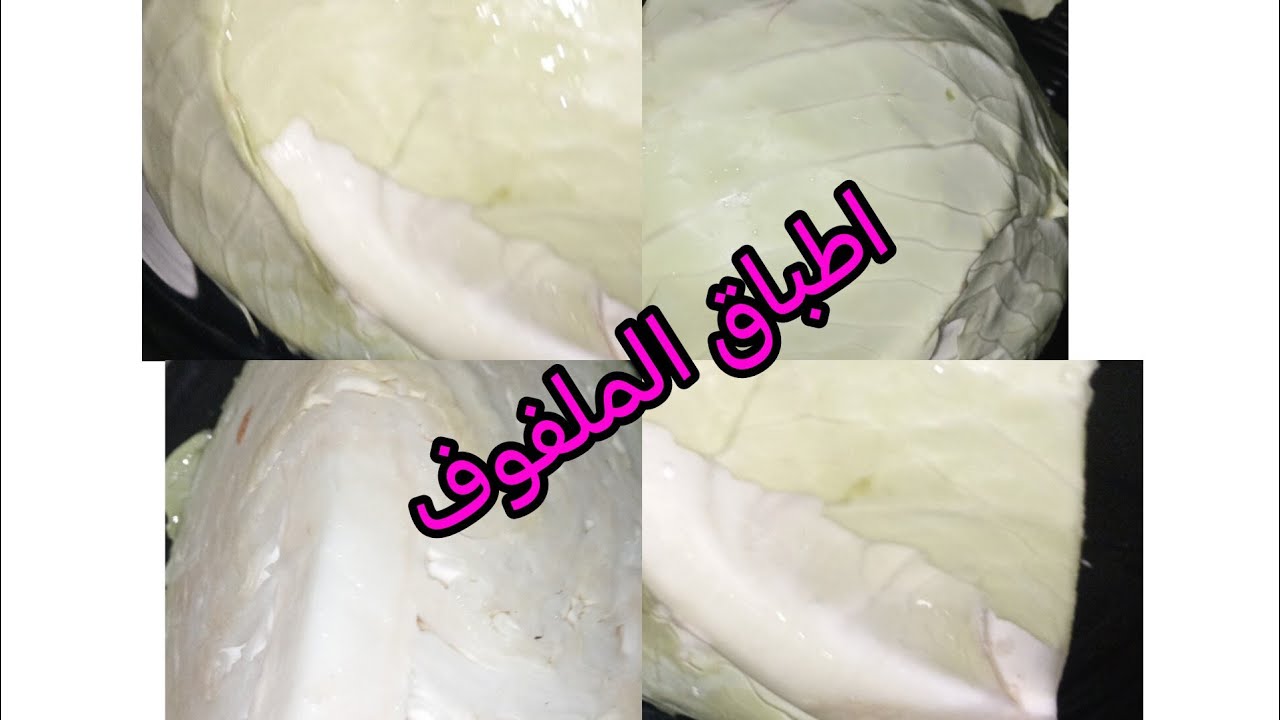 الملفوف او الكرومب او ليشو وصفات متعددة شهيوات شتوية 