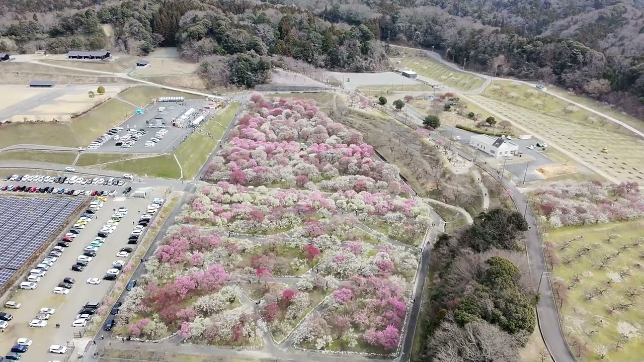いなべ市農業公園     DJI NEO    ドローン空撮