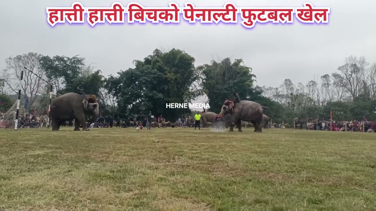 चितवनको पर्यटकीय नगरी सौराहामा हात्ती हात्ती बिचको पेनाल्टी फुटबल खेल