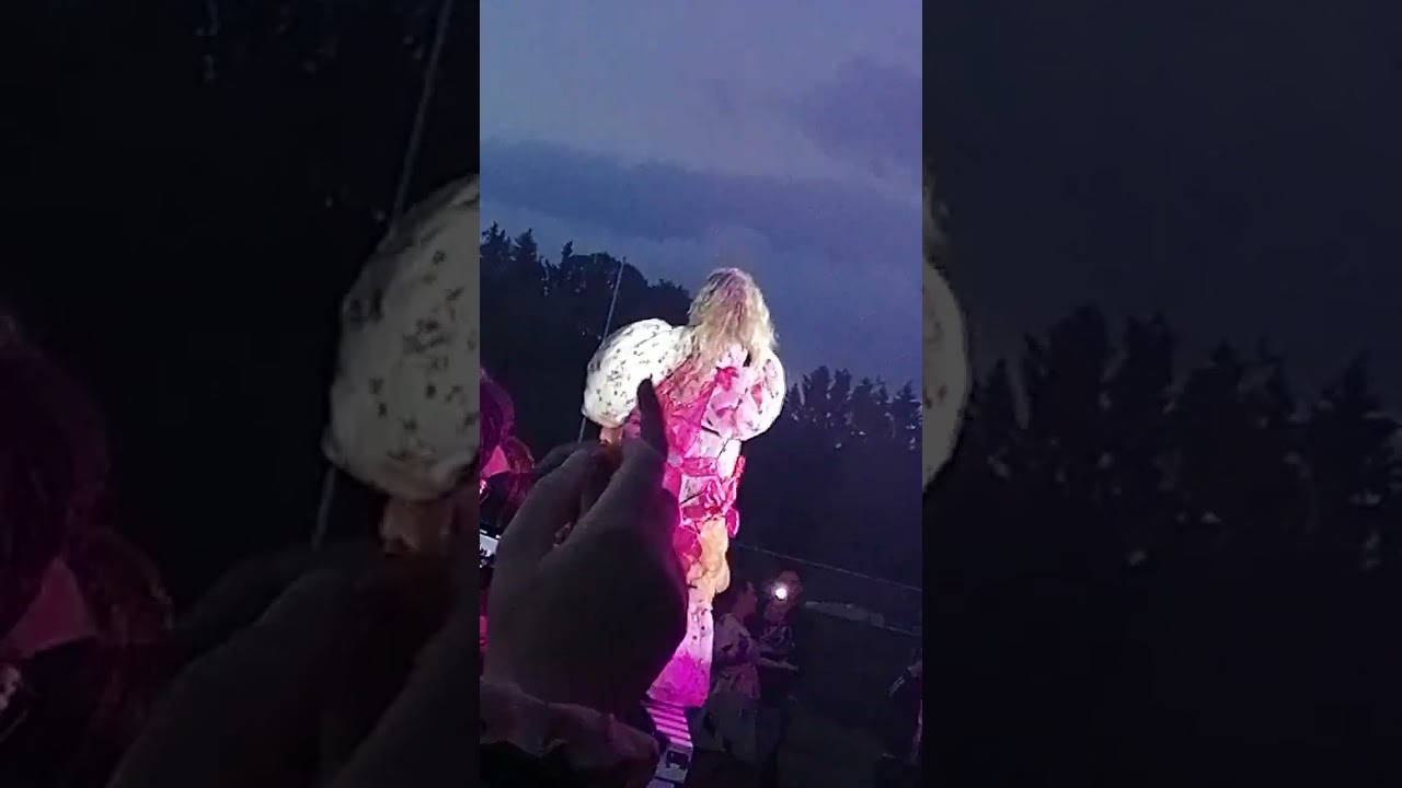 Ellinoora: Carrier ja Gröna Lund. 8.6.2024, Saaristo festivaali